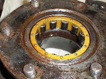 Axle bearing